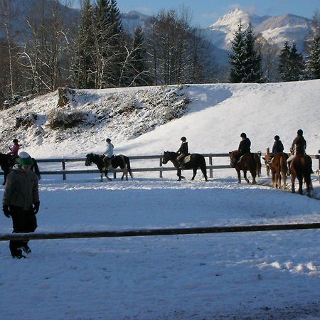 Reiterhof Suassbauer Villa Sankt Wolfgang im Salzkammergut Luaran gambar