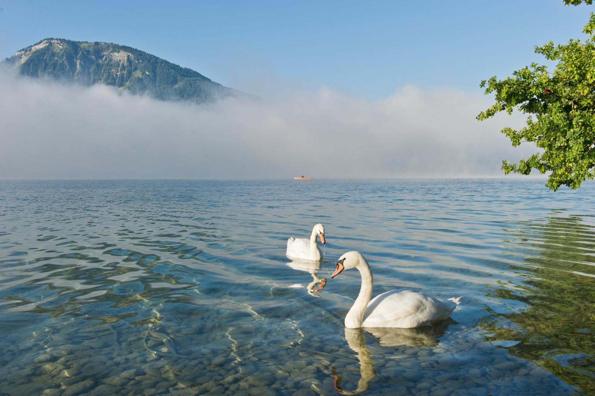 Reiterhof Suassbauer Villa Sankt Wolfgang im Salzkammergut Luaran gambar