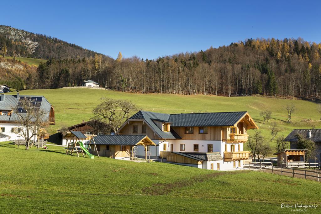 Reiterhof Suassbauer Villa Sankt Wolfgang im Salzkammergut Luaran gambar