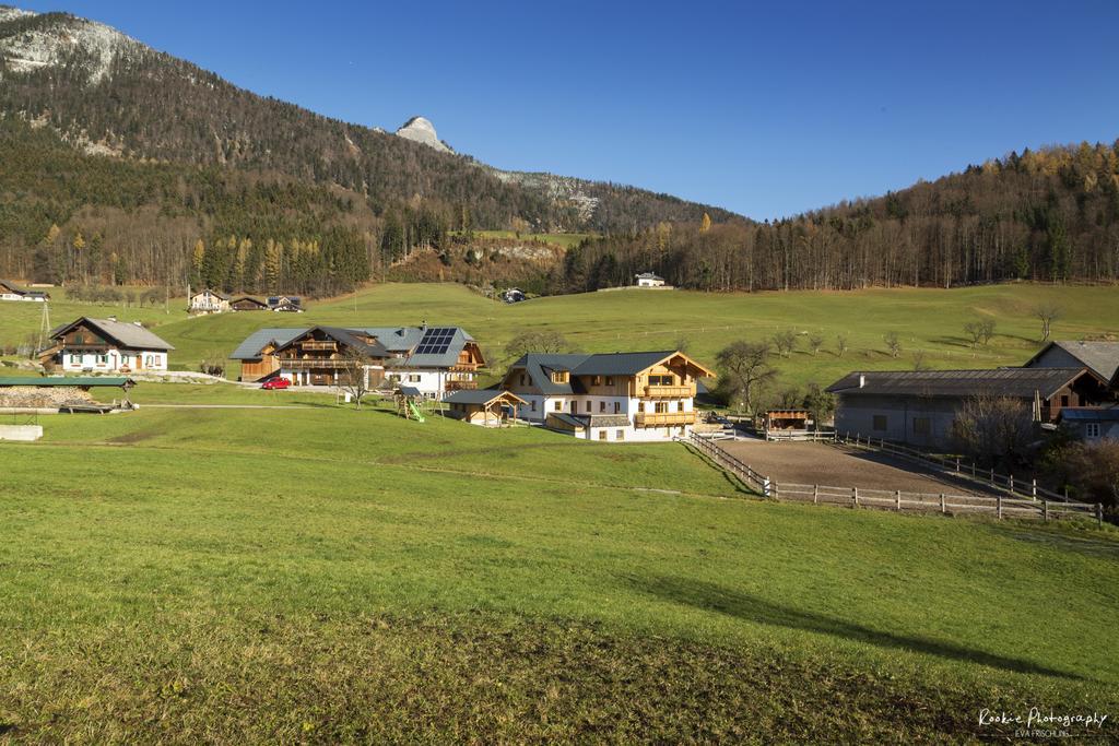 Reiterhof Suassbauer Villa Sankt Wolfgang im Salzkammergut Luaran gambar